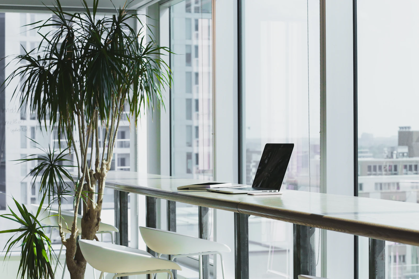 A bright, open office with desks by large windows